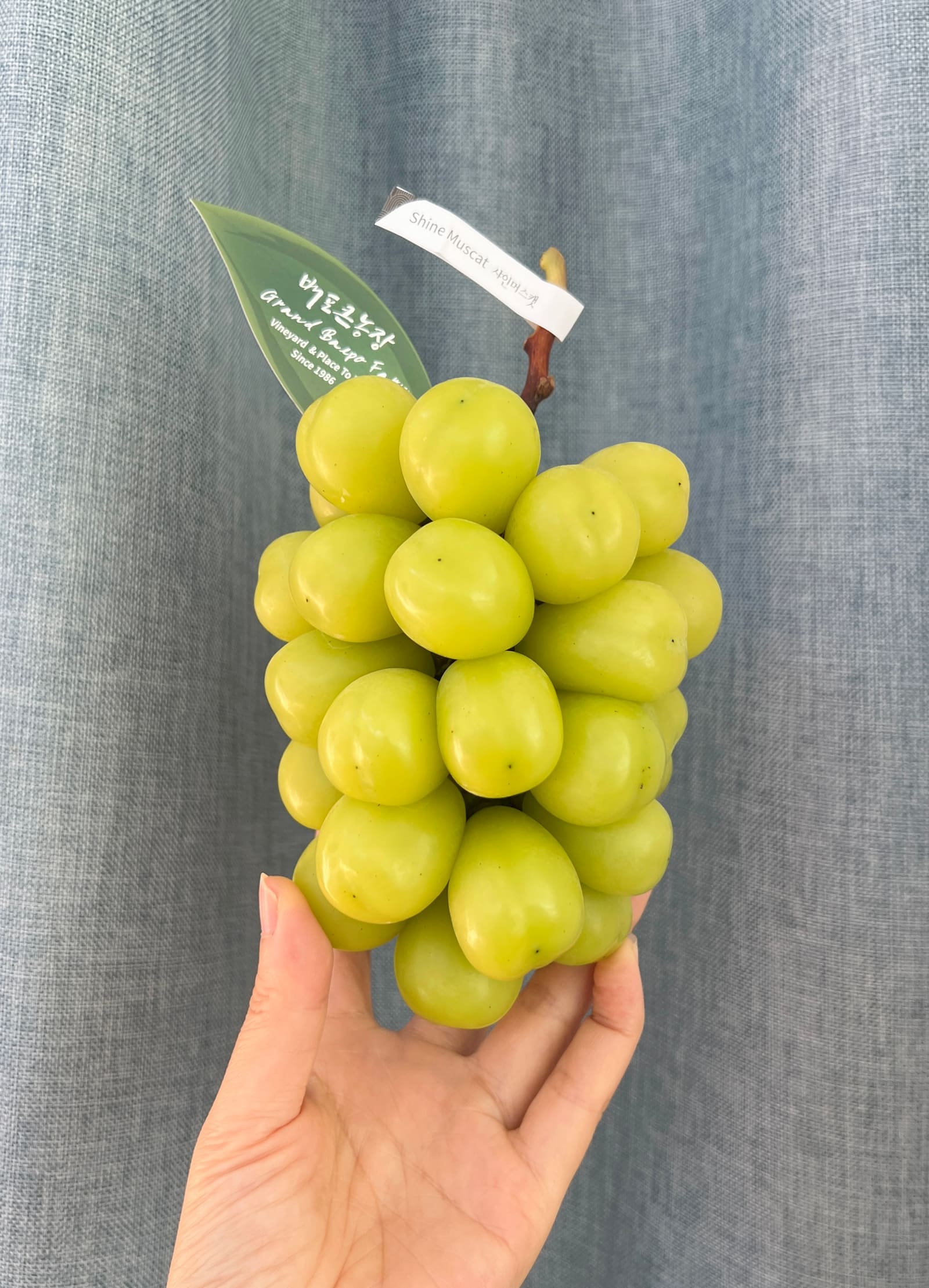 전체 상품